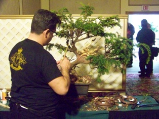 GSBS Annual Bonsai Show 2010 exhibit #4, Great Swamp Bonsai Society Roseland New Jersey